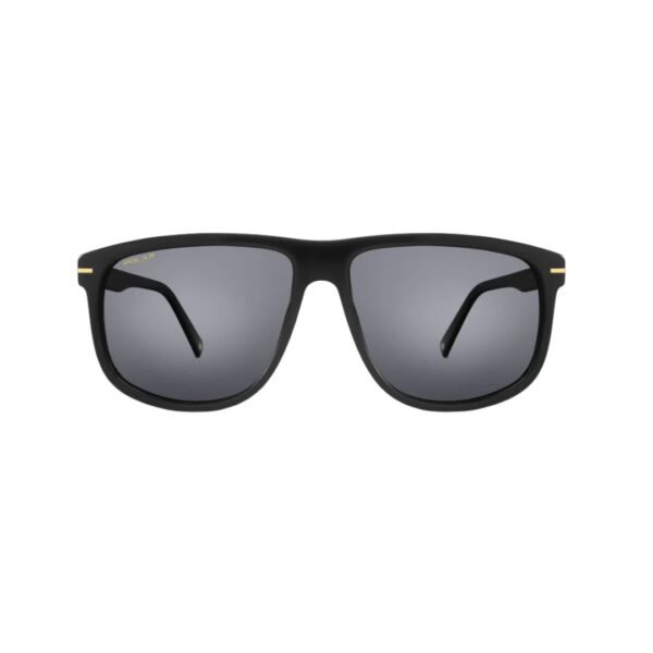 Polar Sunglasses Gold 132 @EYESHOP