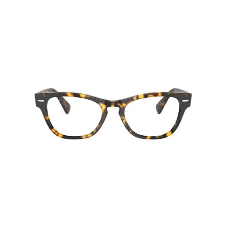 Ray-Ban Eyeglasses LARAMIE RB2201-V @EYESHOP
