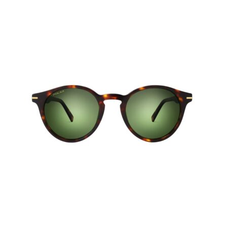 Polar Sunglasses Gold 111 @EYESHOP