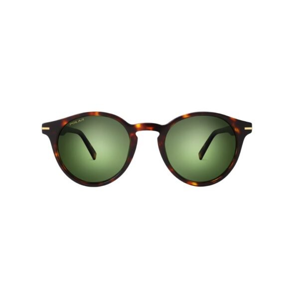 Polar Sunglasses Gold 111 @EYESHOP