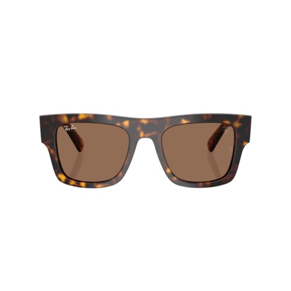 Ray-Ban Sunglasses RB 2217M F613/73 53-21 @EYESHOP