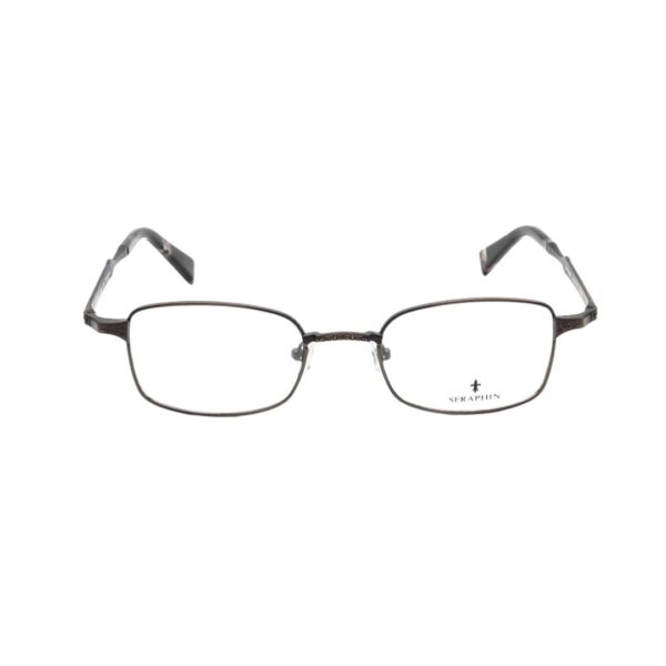 Seraphin Eyeglasses Grove/8890 Titanium @EYESHOP