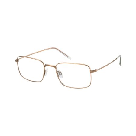 CHARMANT Eyeglasses CH29701 GP @EYESHOP