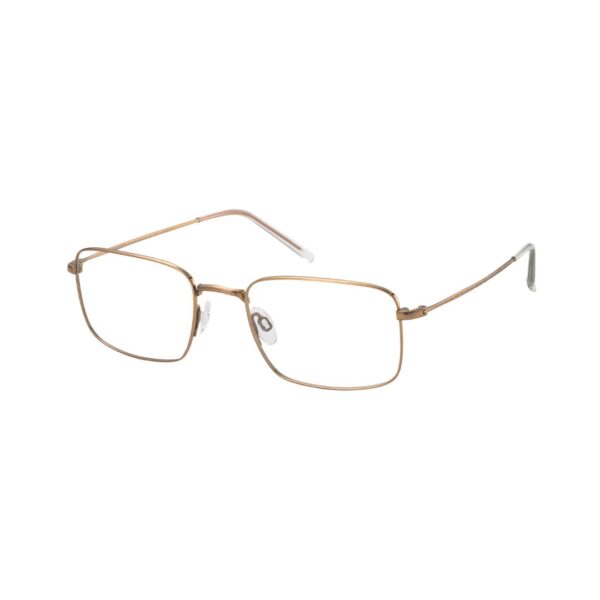 CHARMANT Eyeglasses CH29701 GP @EYESHOP
