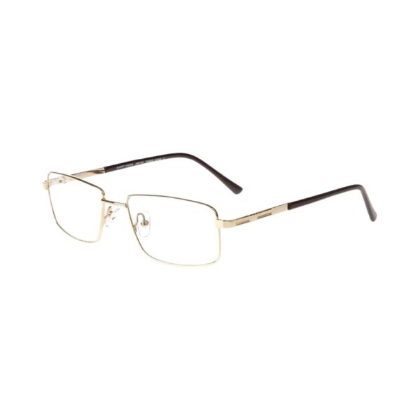 DEXTER A001 Eyeglasses 53/17/140 @EYESHOP